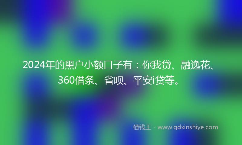 2024年的黑户小额口子有：你我贷、融逸花、360借条、省呗、平安i贷等。