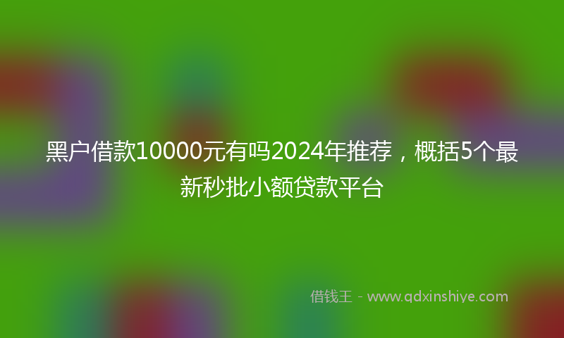 黑户借款10000元有吗2024年推荐，概括5个最新秒批小额贷款平台