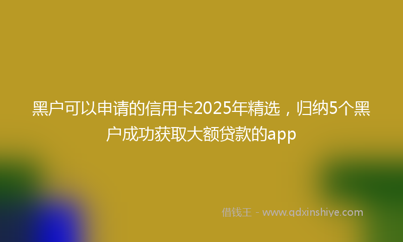 黑户可以申请的信用卡2025年精选，归纳5个黑户成功获取大额贷款的app