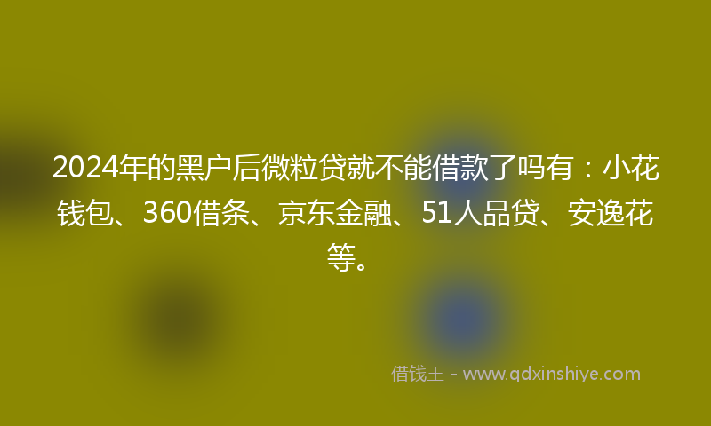 2024年的黑户后微粒贷就不能借款了吗有：小花钱包、360借条、京东金融、51人品贷、安逸花等。