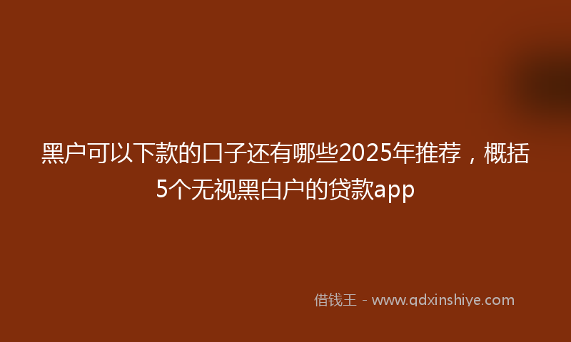 黑户可以下款的口子还有哪些2025年推荐，概括5个无视黑白户的贷款app