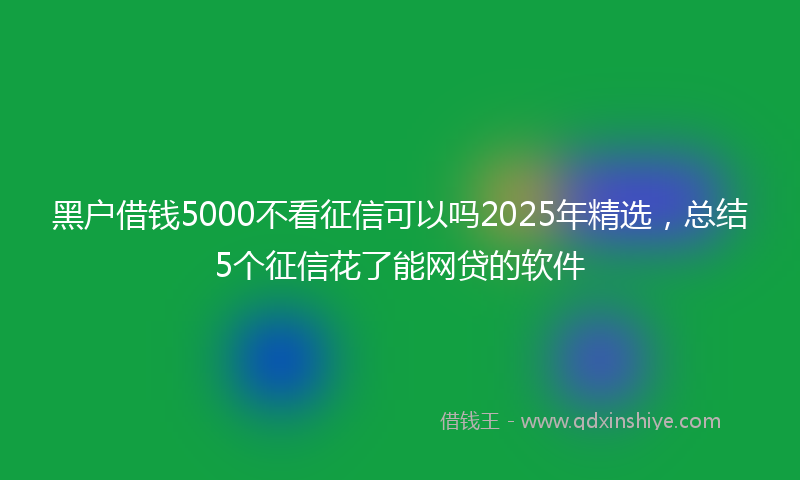 黑户借钱5000不看征信可以吗2025年精选，总结5个征信花了能网贷的软件