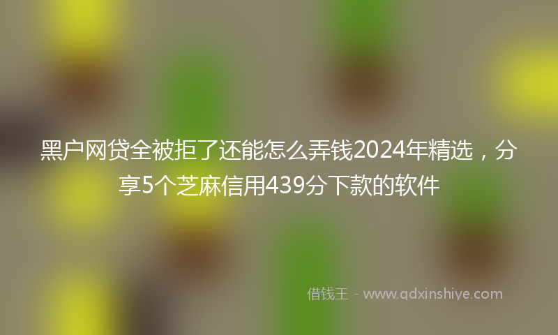 黑户网贷全被拒了还能怎么弄钱2024年精选，分享5个芝麻信用439分下款的软件