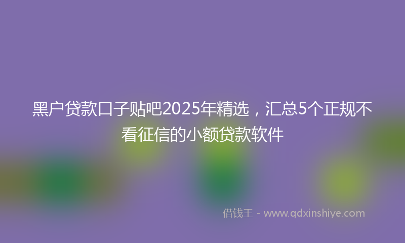 黑户贷款口子贴吧2025年精选，汇总5个正规不看征信的小额贷款软件