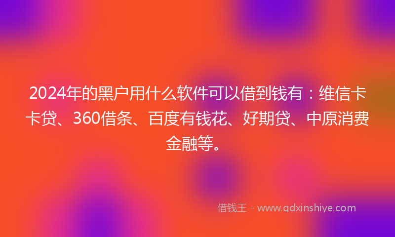 2024年的黑户用什么软件可以借到钱有：维信卡卡贷、360借条、百度有钱花、好期贷、中原消费金融等。