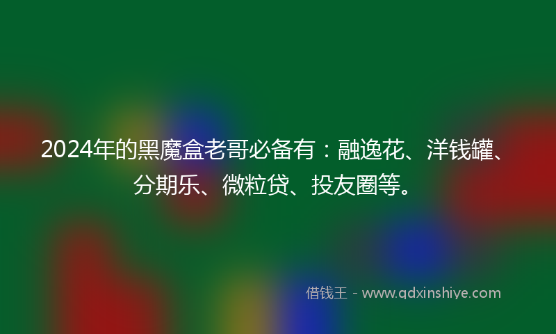 2024年的黑魔盒老哥必备有：融逸花、洋钱罐、分期乐、微粒贷、投友圈等。