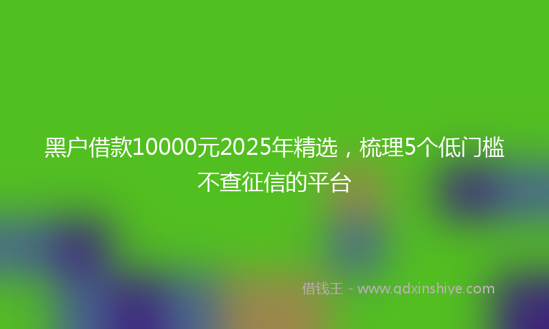 黑户借款10000元2025年精选，梳理5个低门槛不查征信的平台