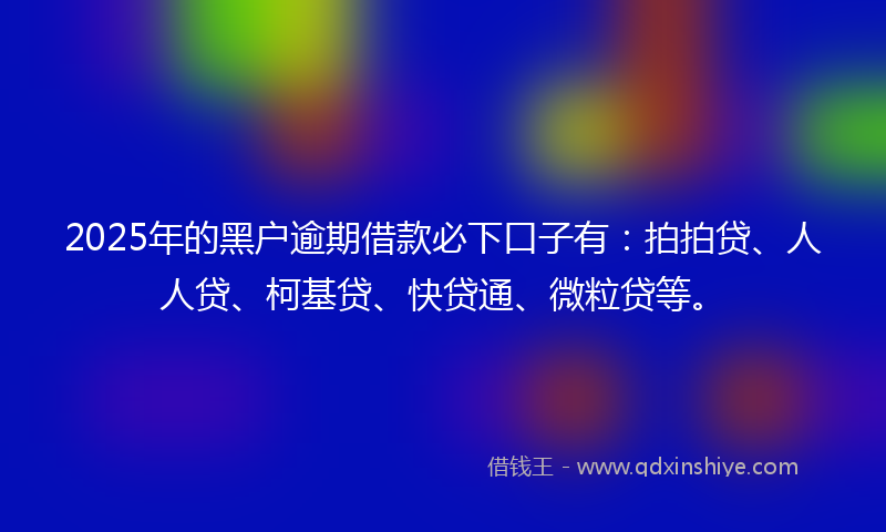 2025年的黑户逾期借款必下口子有：拍拍贷、人人贷、柯基贷、快贷通、微粒贷等。
