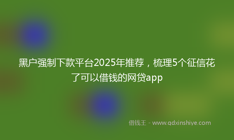 黑户强制下款平台2025年推荐，梳理5个征信花了可以借钱的网贷app