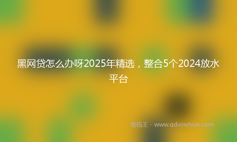 黑网贷怎么办呀2025年精选，整合5个2024放水平台