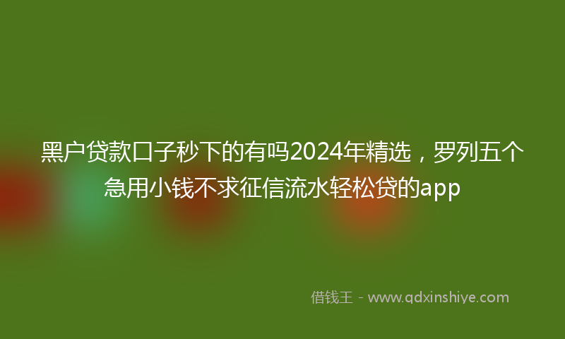 黑户贷款口子秒下的有吗2024年精选，罗列五个急用小钱不求征信流水轻松贷的app