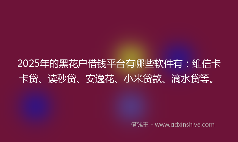 2025年的黑花户借钱平台有哪些软件有：维信卡卡贷、读秒贷、安逸花、小米贷款、滴水贷等。