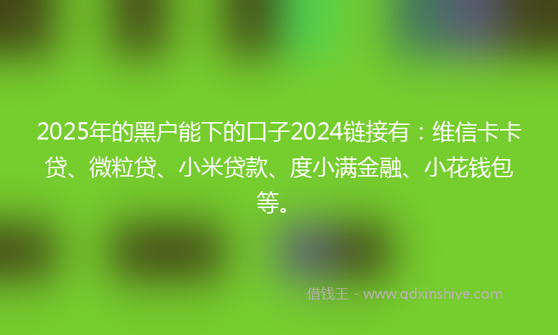 2025年的黑户能下的口子2024链接有：维信卡卡贷、微粒贷、小米贷款、度小满金融、小花钱包等。