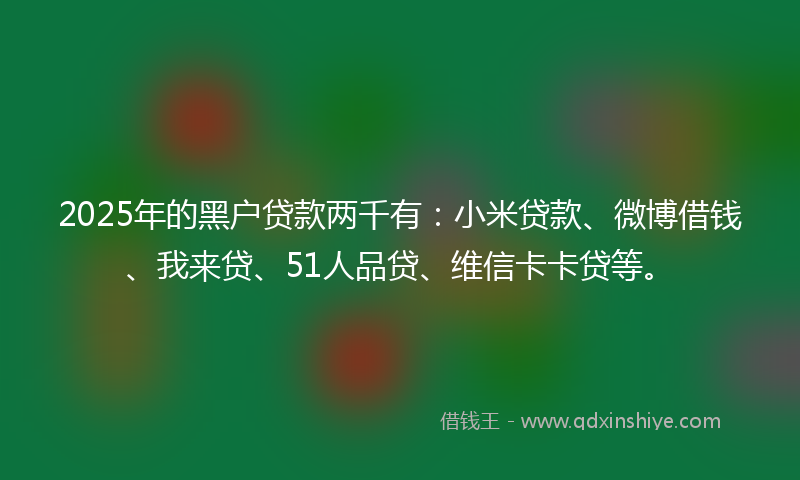 2025年的黑户贷款两千有：小米贷款、微博借钱、我来贷、51人品贷、维信卡卡贷等。