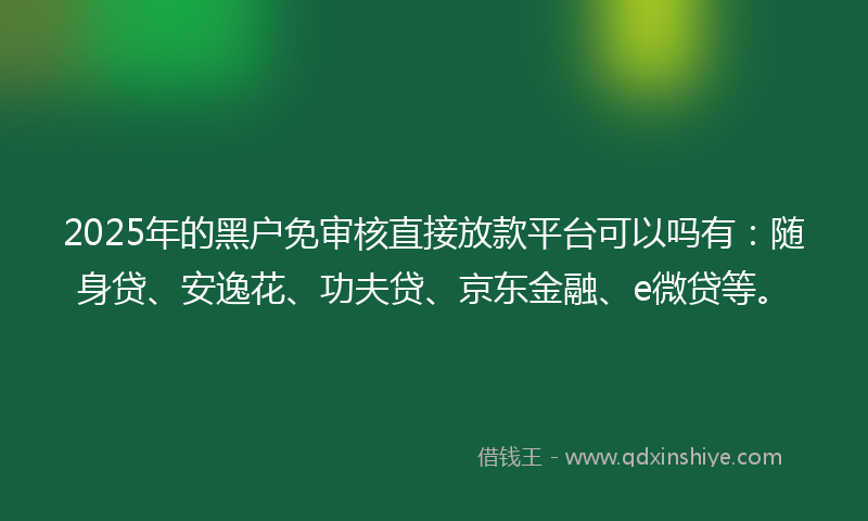 2025年的黑户免审核直接放款平台可以吗有：随身贷、安逸花、功夫贷、京东金融、e微贷等。