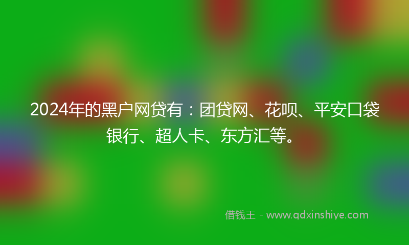 2024年的黑户网贷有：团贷网、花呗、平安口袋银行、超人卡、东方汇等。
