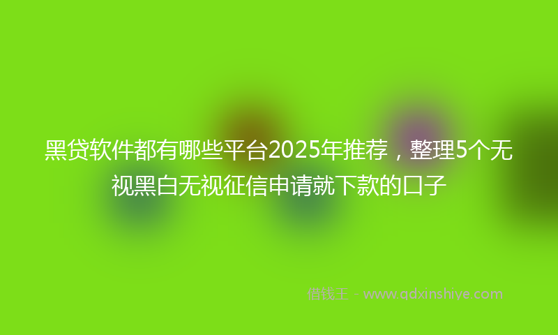 黑贷软件都有哪些平台2025年推荐，整理5个无视黑白无视征信申请就下款的口子