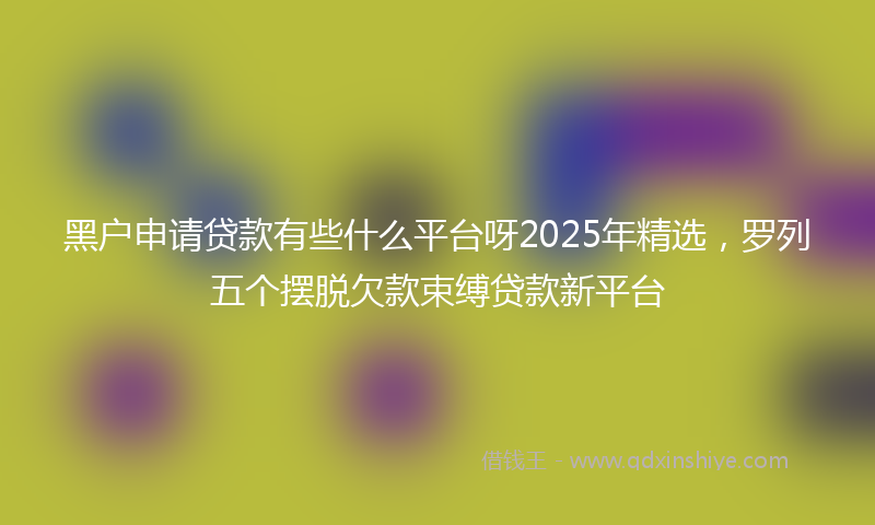 黑户申请贷款有些什么平台呀2025年精选，罗列五个摆脱欠款束缚贷款新平台