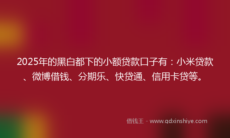 2025年的黑白都下的小额贷款口子有：小米贷款、微博借钱、分期乐、快贷通、信用卡贷等。