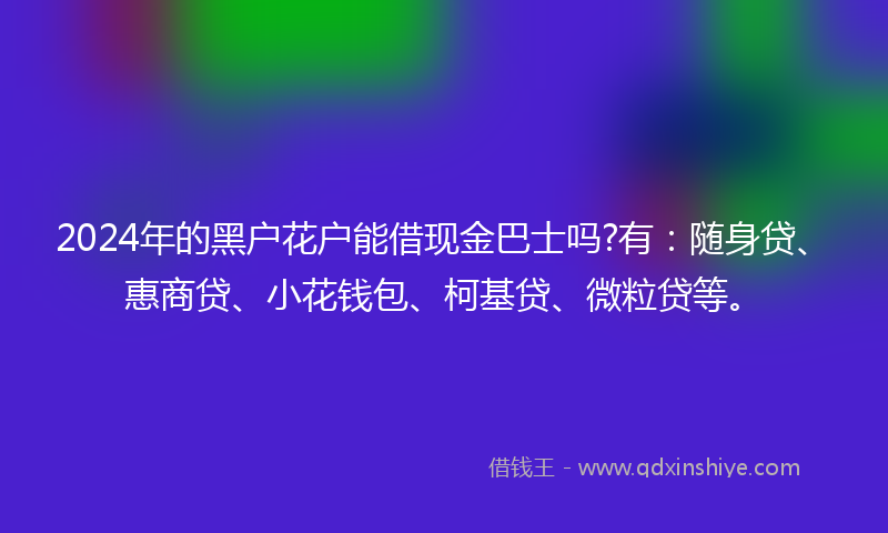 2024年的黑户花户能借现金巴士吗?有：随身贷、惠商贷、小花钱包、柯基贷、微粒贷等。