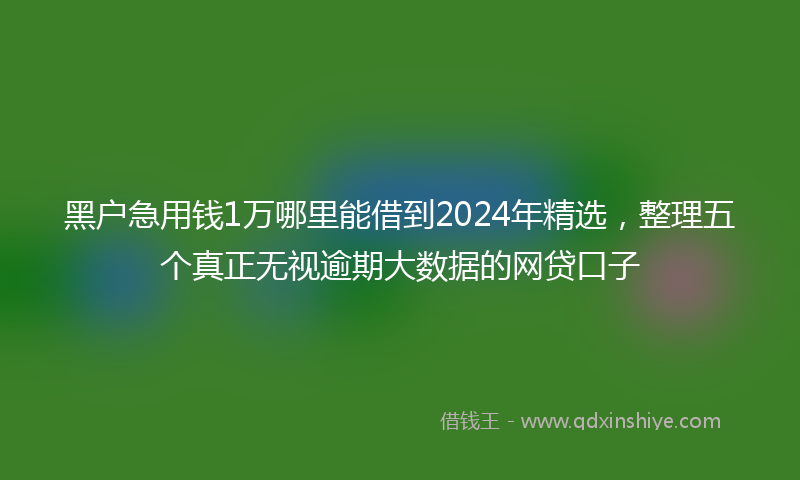 黑户急用钱1万哪里能借到2024年精选,整理五个真正无视逾期大数据的网贷口子
