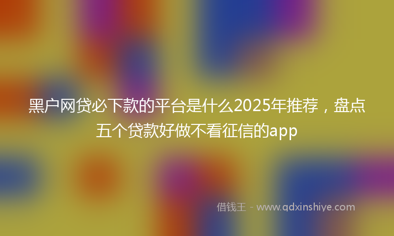 黑户网贷必下款的平台是什么2025年推荐，盘点五个贷款好做不看征信的app