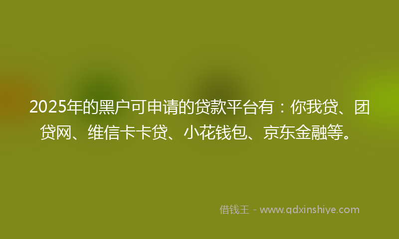2025年的黑户可申请的贷款平台有：你我贷、团贷网、维信卡卡贷、小花钱包、京东金融等。