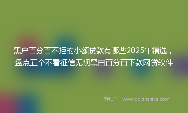 黑户百分百不拒的小额贷款有哪些2025年精选，盘点五个不看征信无视黑白百分百下款网贷软件