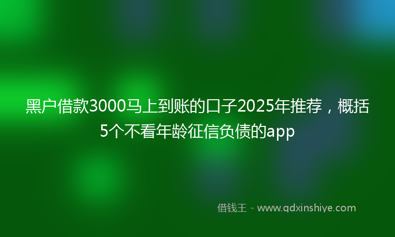 黑户借款3000马上到账的口子2025年推荐，概括5个不看年龄征信负债的app