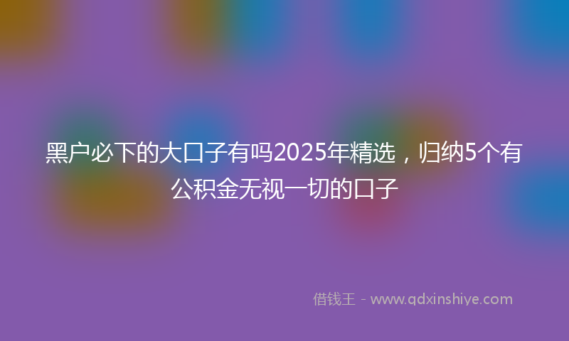 黑户必下的大口子有吗2025年精选，归纳5个有公积金无视一切的口子
