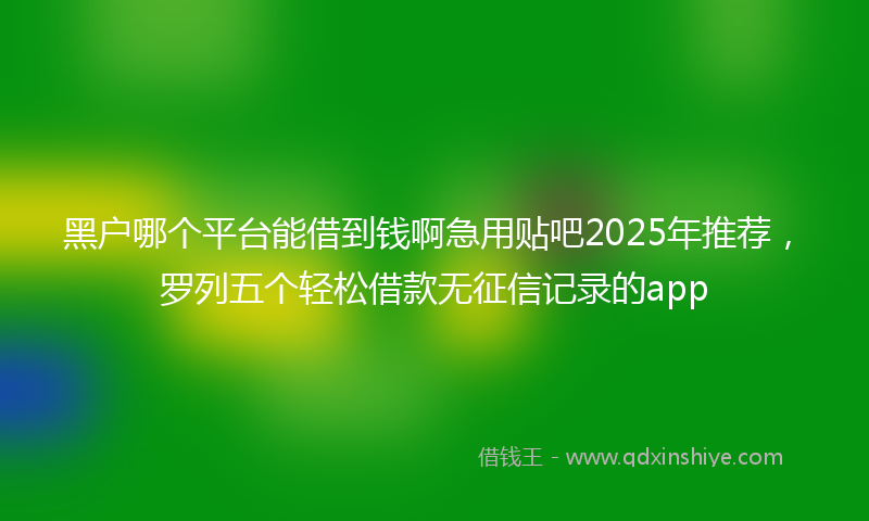 黑户哪个平台能借到钱啊急用贴吧2025年推荐，罗列五个轻松借款无征信记录的app