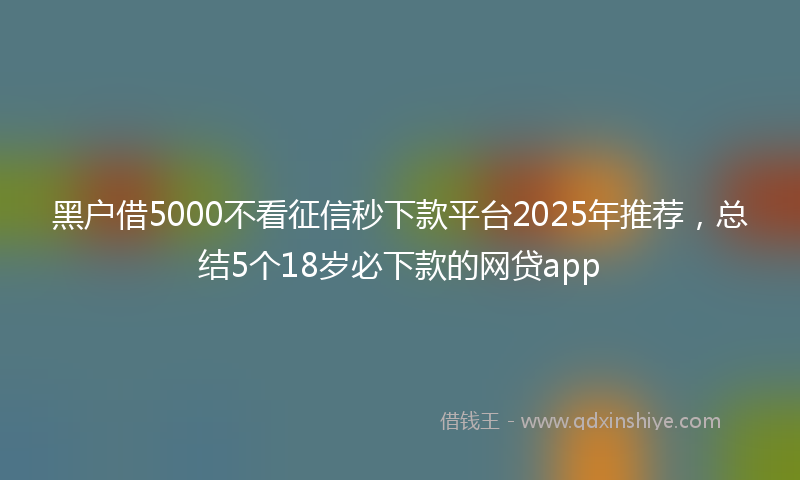 黑户借5000不看征信秒下款平台2025年推荐，总结5个18岁必下款的网贷app