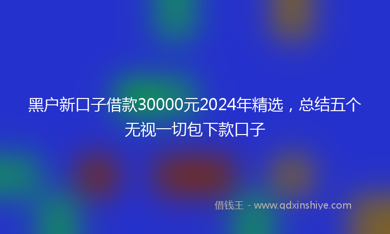 黑户新口子借款30000元2024年精选，总结五个无视一切包下款口子