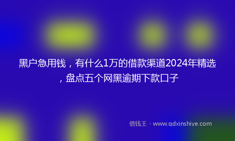黑户急用钱，有什么1万的借款渠道2024年精选，盘点五个网黑逾期下款口子