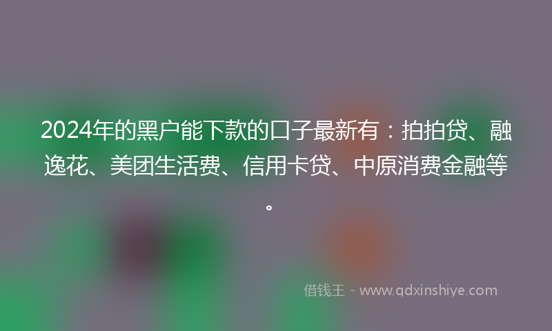 2024年的黑户能下款的口子最新有：拍拍贷、融逸花、美团生活费、信用卡贷、中原消费金融等。