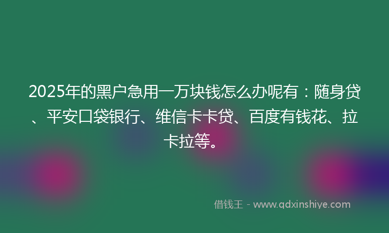 2025年的黑户急用一万块钱怎么办呢有：随身贷、平安口袋银行、维信卡卡贷、百度有钱花、拉卡拉等。