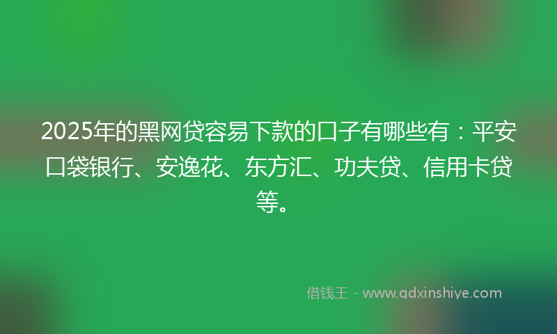 2025年的黑网贷容易下款的口子有哪些有：平安口袋银行、安逸花、东方汇、功夫贷、信用卡贷等。
