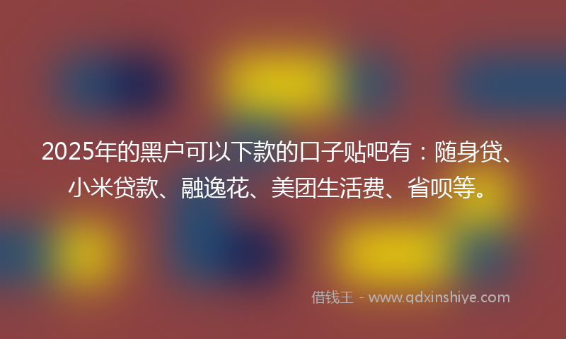 2025年的黑户可以下款的口子贴吧有：随身贷、小米贷款、融逸花、美团生活费、省呗等。