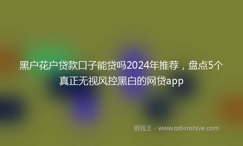 黑户花户贷款口子能贷吗2024年推荐，盘点5个真正无视风控黑白的网贷app