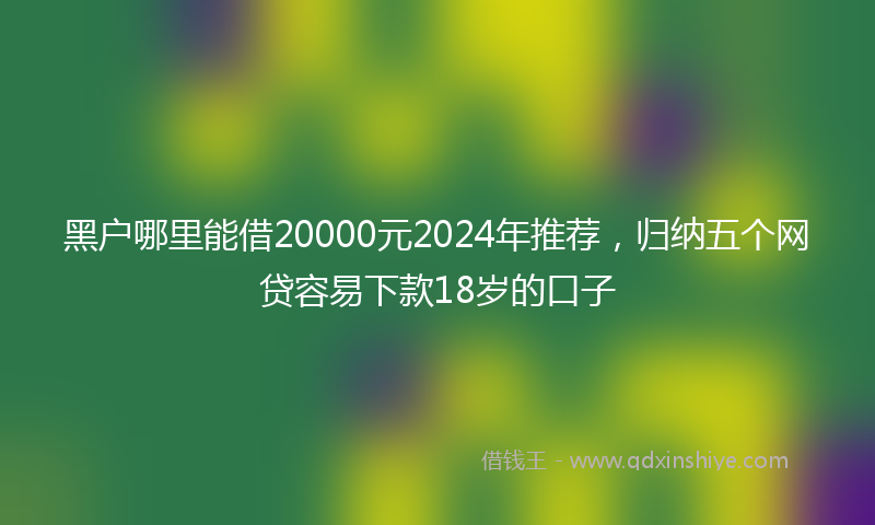 黑户哪里能借20000元2024年推荐，归纳五个网贷容易下款18岁的口子