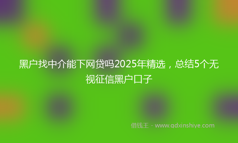 黑户找中介能下网贷吗2025年精选，总结5个无视征信黑户口子