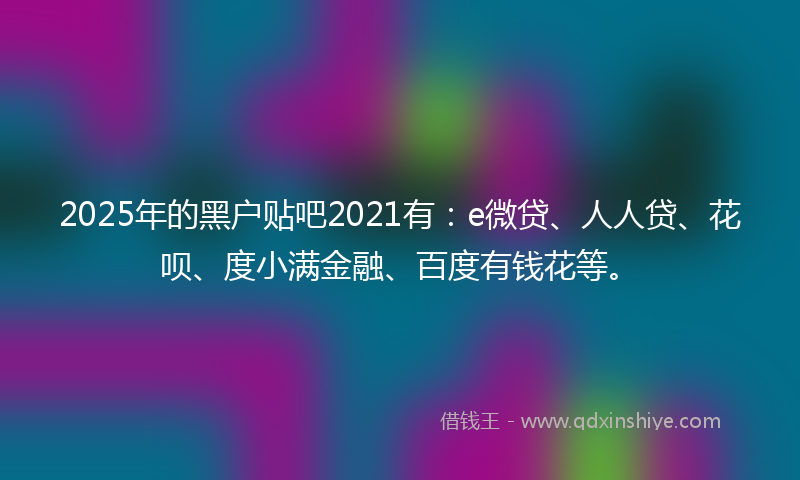2025年的黑户贴吧2021有：e微贷、人人贷、花呗、度小满金融、百度有钱花等。