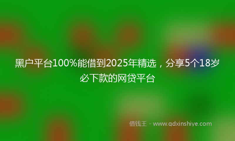 黑户平台100%能借到2025年精选，分享5个18岁必下款的网贷平台