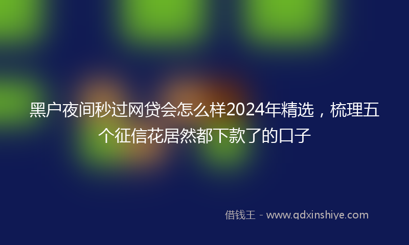黑户夜间秒过网贷会怎么样2024年精选，梳理五个征信花居然都下款了的口子