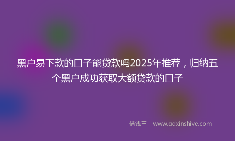 黑户易下款的口子能贷款吗2025年推荐，归纳五个黑户成功获取大额贷款的口子
