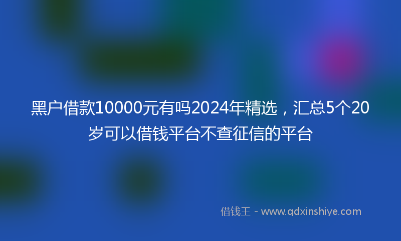 黑户借款10000元有吗2024年精选，汇总5个20岁可以借钱平台不查征信的平台