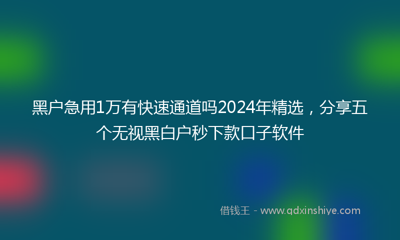 黑户急用1万有快速通道吗2024年精选，分享五个无视黑白户秒下款口子软件