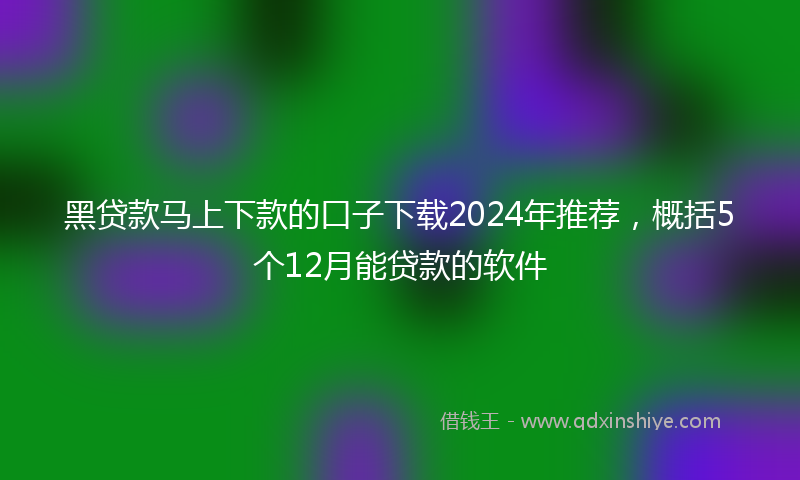 黑贷款马上下款的口子下载2024年推荐，概括5个12月能贷款的软件