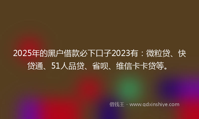 2025年的黑户借款必下口子2023有：微粒贷、快贷通、51人品贷、省呗、维信卡卡贷等。