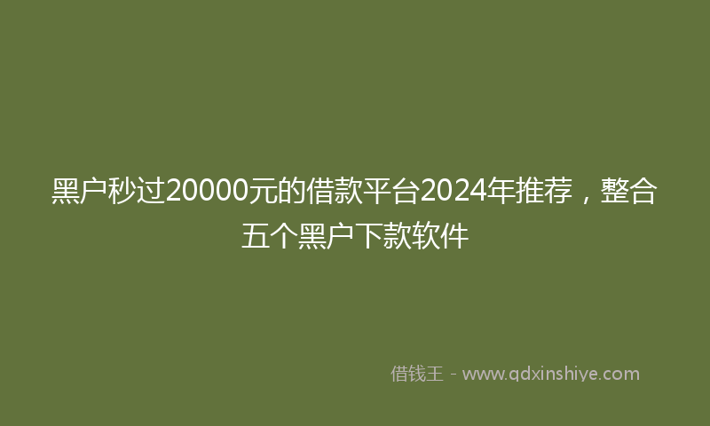 黑户秒过20000元的借款平台2024年推荐，整合五个黑户下款软件